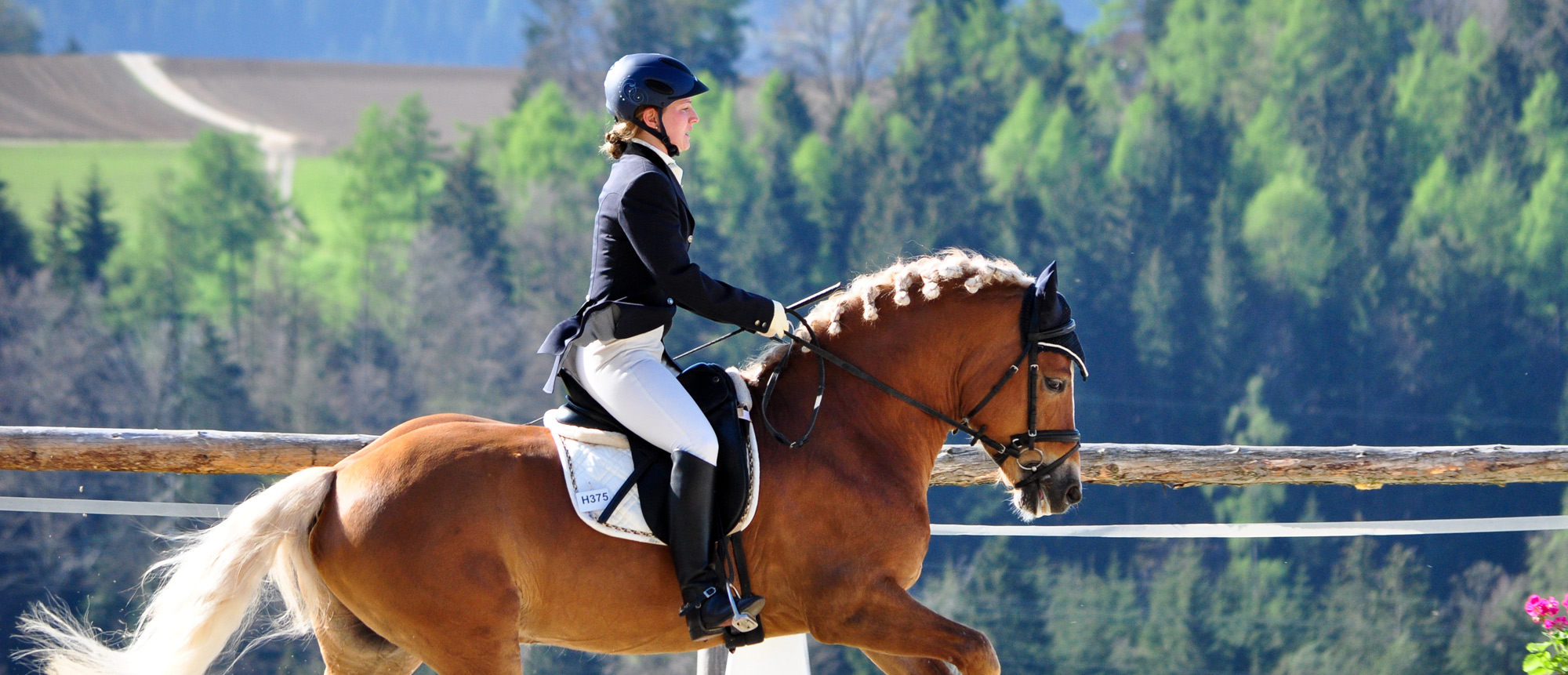 Reitanlage in Leogang