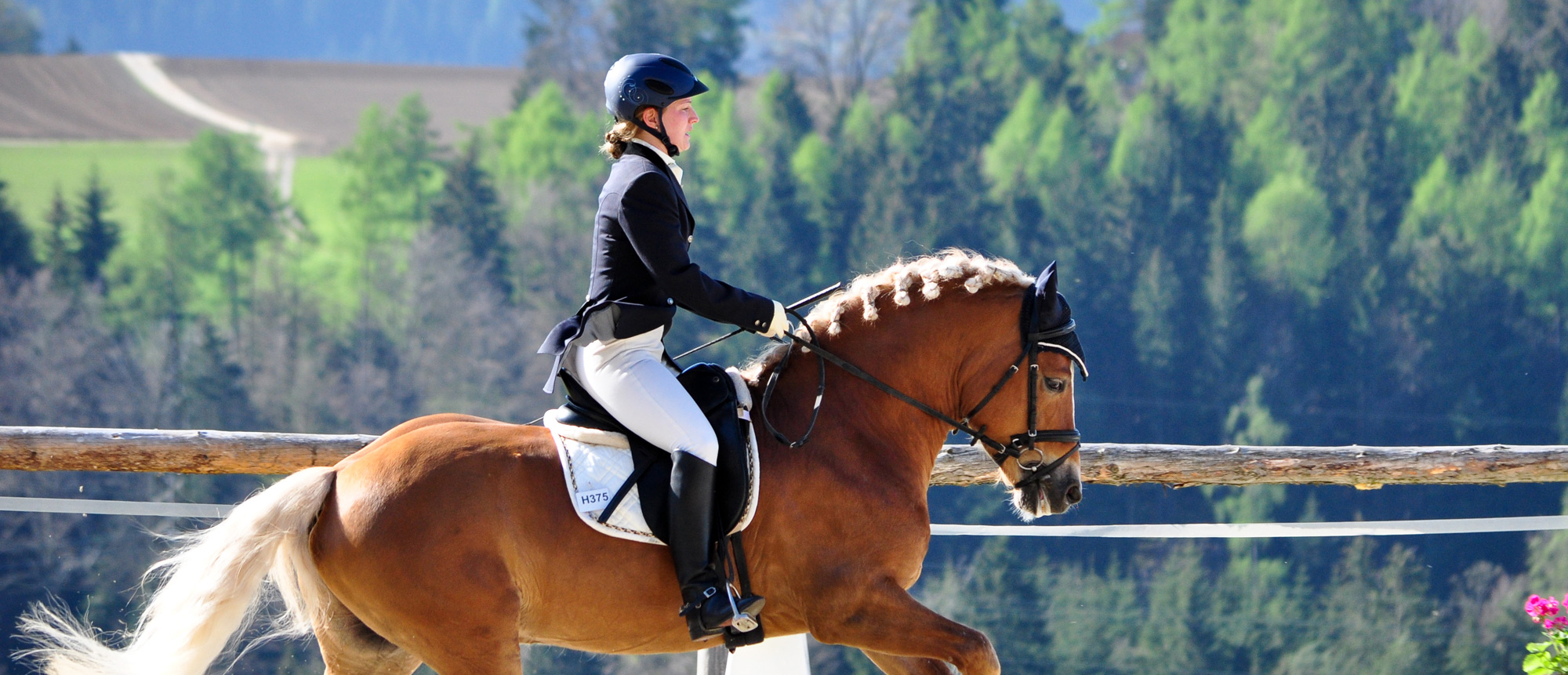 Reitanlage in Leogang