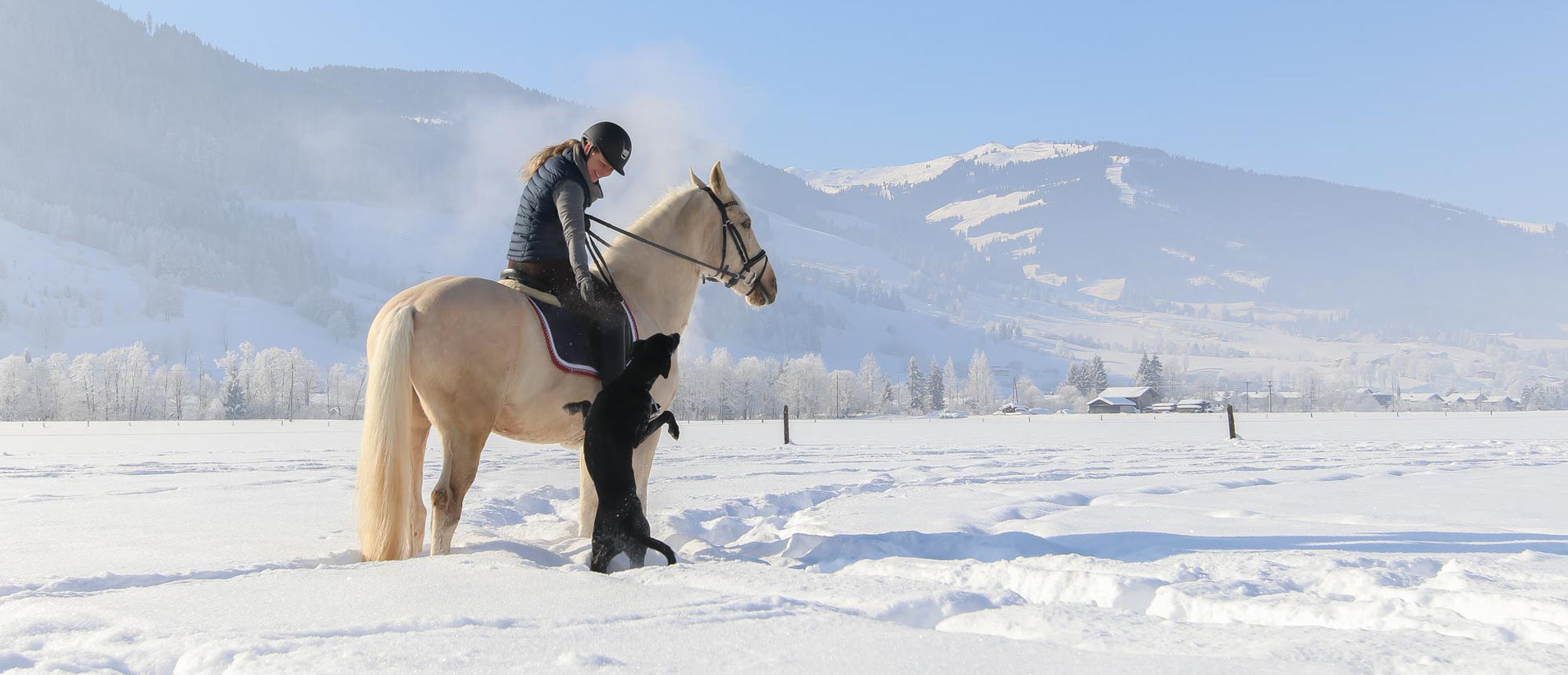 Reitanlage in Leogang