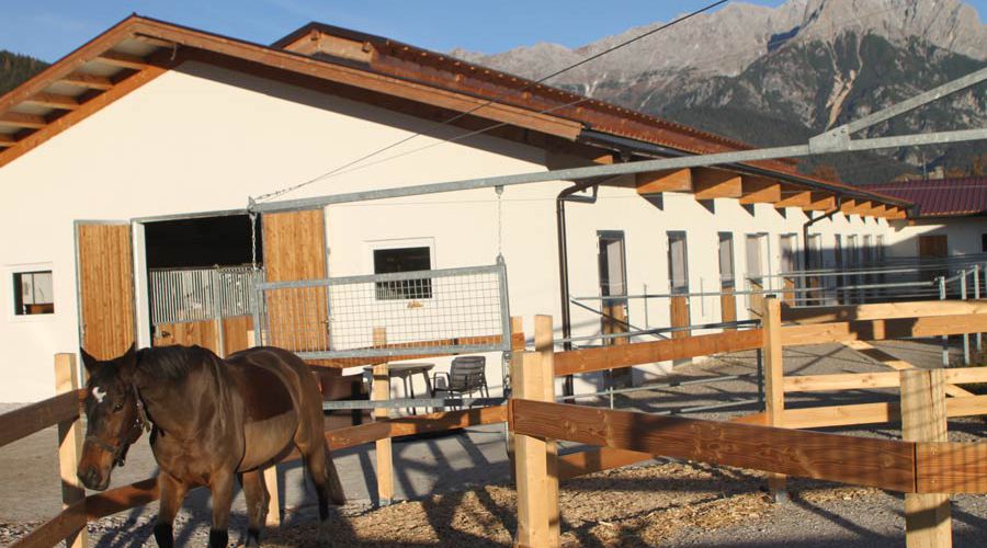 reiten-in-leogang