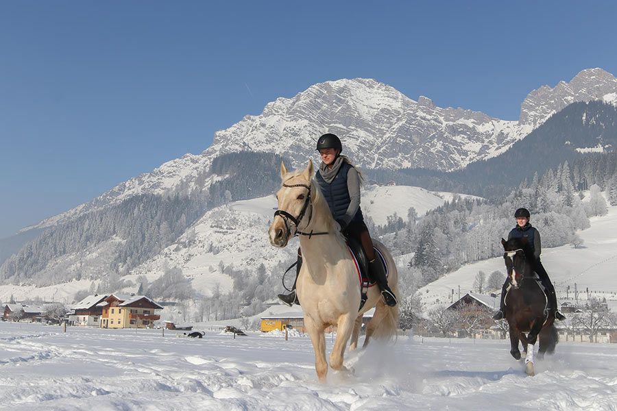 reitsport-leogang005