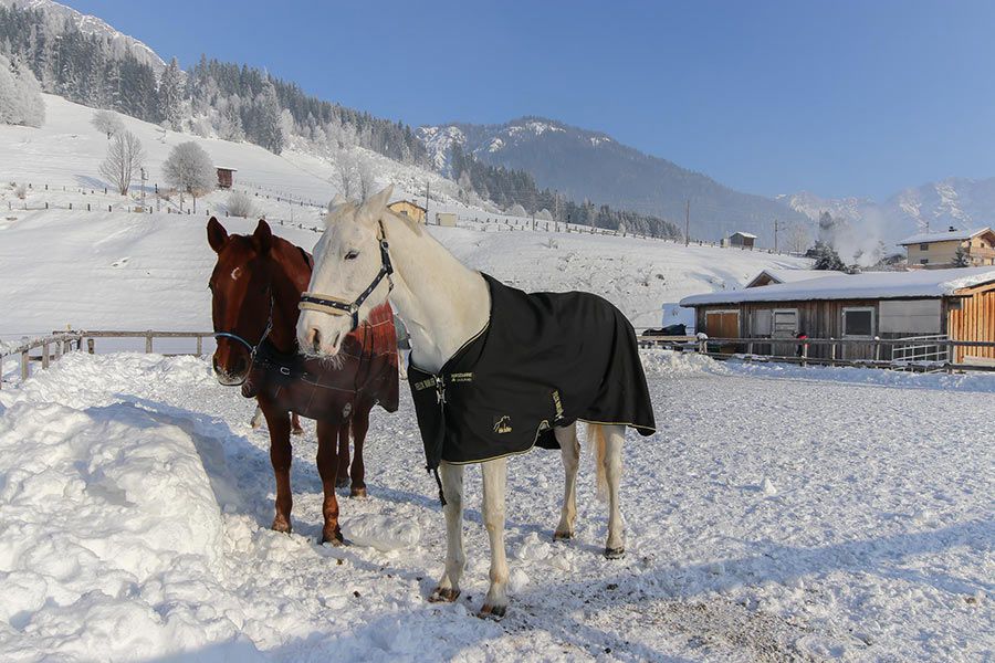 reitsport-leogang007