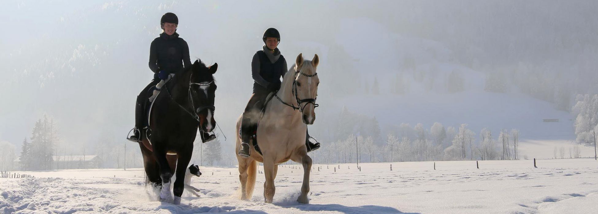 reiturlaub-leogang004